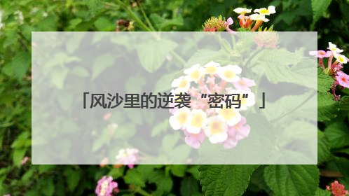风沙里的逆袭“密码”