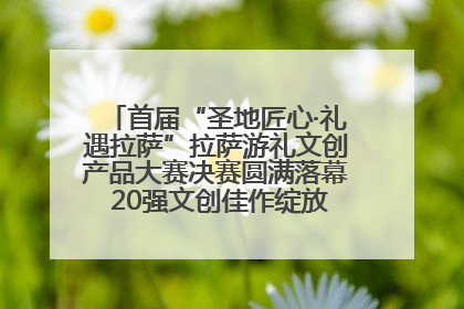 首届“圣地匠心·礼遇拉萨”拉萨游礼文创产品大赛决赛圆满落幕 20强文创佳作绽放雪域文化魅力