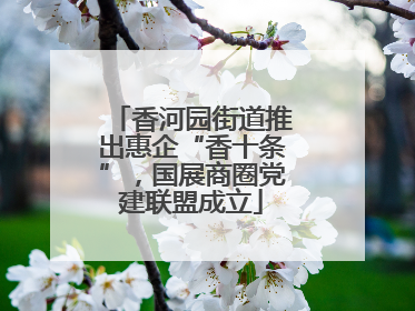 香河园街道推出惠企“香十条”，国展商圈党建联盟成立