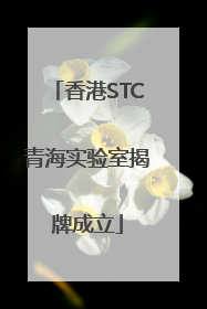 香港STC青海实验室揭牌成立