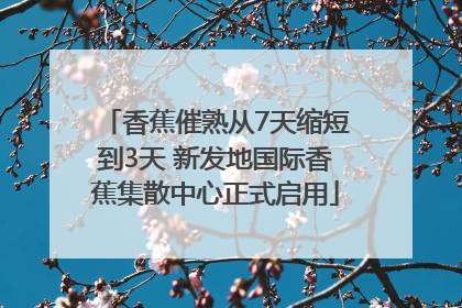 香蕉催熟从7天缩短到3天 新发地国际香蕉集散中心正式启用