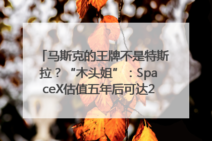 马斯克的王牌不是特斯拉？“木头姐”：SpaceX估值五年后可达2.5万亿美元！