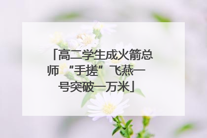 高二学生成火箭总师 “手搓”飞燕一号突破一万米