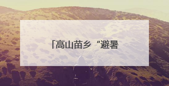 高山苗乡“避暑经济”热 特色旅游铺就致富路