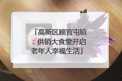 高新区顾官屯镇：供销大食堂开启老年人幸福生活