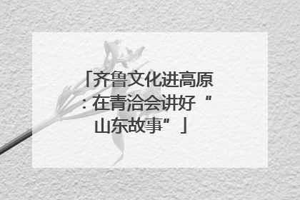 齐鲁文化进高原：在青洽会讲好“山东故事”