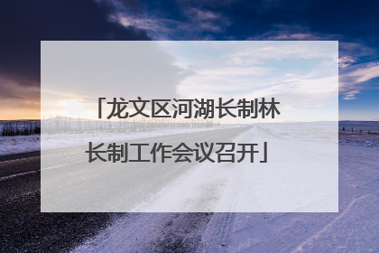 龙文区河湖长制林长制工作会议召开