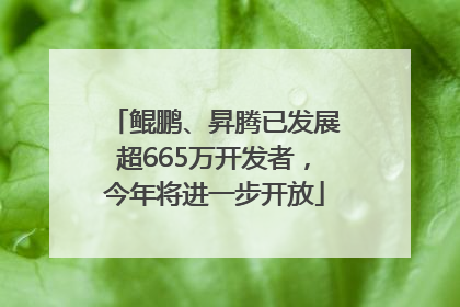 鲲鹏、昇腾已发展超665万开发者，今年将进一步开放