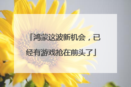鸿蒙这波新机会，已经有游戏抢在前头了