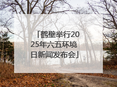 鹤壁举行2025年六五环境日新闻发布会