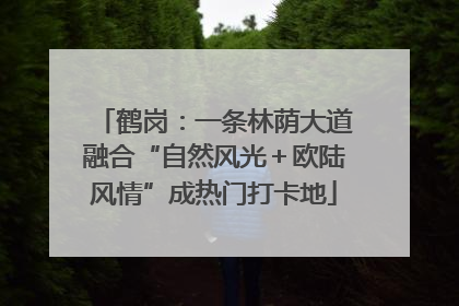 鹤岗：一条林荫大道融合“自然风光＋欧陆风情”成热门打卡地