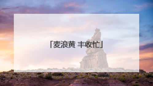 麦浪黄 丰收忙