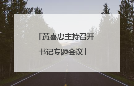 黄喜忠主持召开书记专题会议