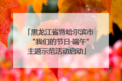 黑龙江省暨哈尔滨市“我们的节日·端午”主题示范活动启动