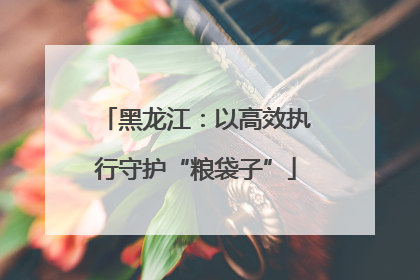 黑龙江：以高效执行守护“粮袋子”