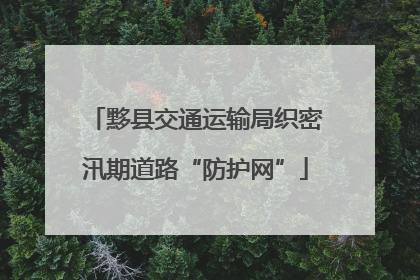 黟县交通运输局织密汛期道路“防护网”