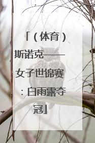 （体育）斯诺克——女子世锦赛：白雨露夺冠