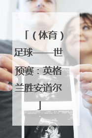 （体育）足球——世预赛：英格兰胜安道尔
