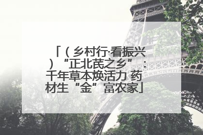 （乡村行·看振兴）“正北芪之乡”：千年草本焕活力 药材生“金”富农家