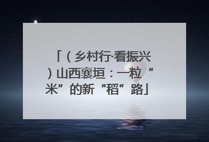 （乡村行·看振兴）山西襄垣：一粒“米”的新“稻”路