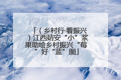 （乡村行·看振兴）江西靖安“小”浆果助绘乡村振兴“莓”好“蓝”图