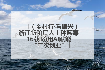 （乡村行·看振兴）浙江新阶层人士种蓝莓16载 盼用AI赋能“二次创业”