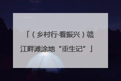 （乡村行·看振兴）赣江畔滩涂地“重生记”