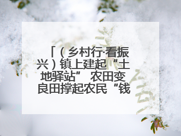 （乡村行·看振兴）镇上建起“土地驿站” 农田变良田撑起农民“钱袋子”