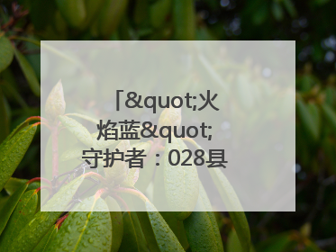 "火焰蓝"守护者：028县道上的暖心营救