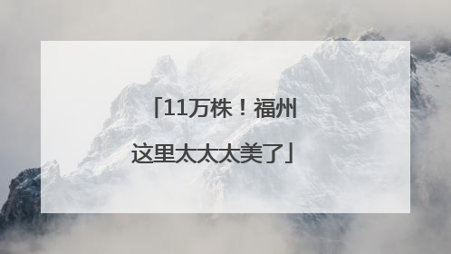 11万株！福州这里太太太美了