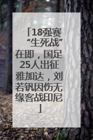 18强赛“生死战”在即，国足25人出征雅加达，刘若钒因伤无缘客战印尼