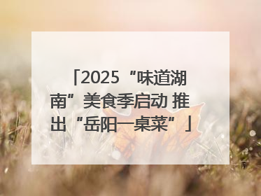 2025“味道湖南”美食季启动 推出“岳阳一桌菜”