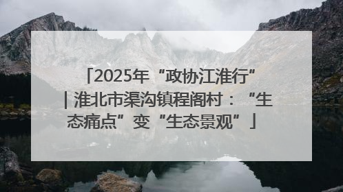 2025年“政协江淮行”｜淮北市渠沟镇程阁村：“生态痛点”变“生态景观”