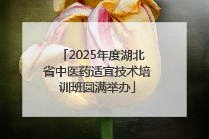 2025年度湖北省中医药适宜技术培训班圆满举办