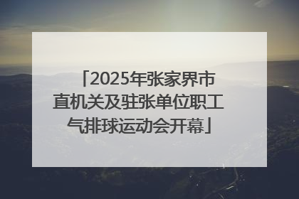 2025年张家界市直机关及驻张单位职工气排球运动会开幕