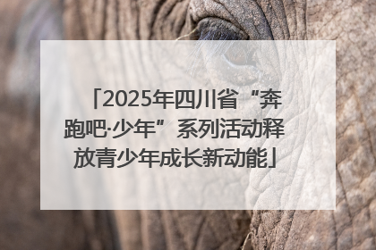 2025年四川省“奔跑吧·少年”系列活动释放青少年成长新动能