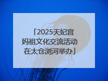 2025天妃宫妈祖文化交流活动在太仓浏河举办