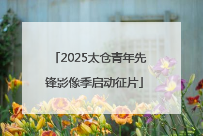 2025太仓青年先锋影像季启动征片