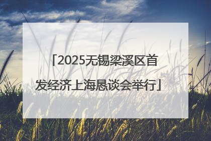 2025无锡梁溪区首发经济上海恳谈会举行