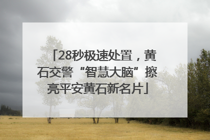 28秒极速处置，黄石交警“智慧大脑”擦亮平安黄石新名片