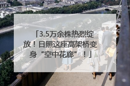 3.5万余株热烈绽放！日照这座高架桥变身“空中花廊”！