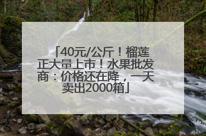 40元/公斤！榴莲正大量上市！水果批发商：价格还在降，一天卖出2000箱
