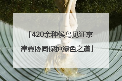 420余种候鸟见证京津冀协同保护绿色之道
