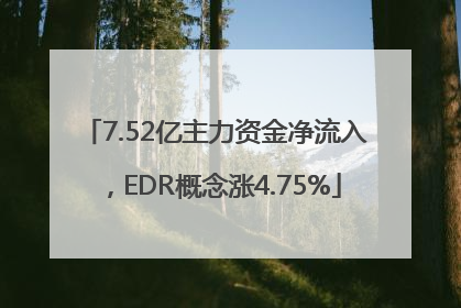 7.52亿主力资金净流入，EDR概念涨4.75%