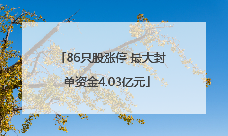 86只股涨停 最大封单资金4.03亿元