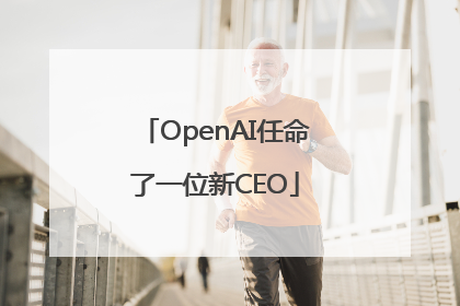 OpenAI任命了一位新CEO