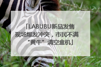 LABUBU新品发售现场爆发冲突，市民不满“黄牛”清空盒机