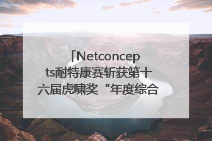 Netconcepts耐特康赛斩获第十六届虎啸奖“年度综合服务商”大奖